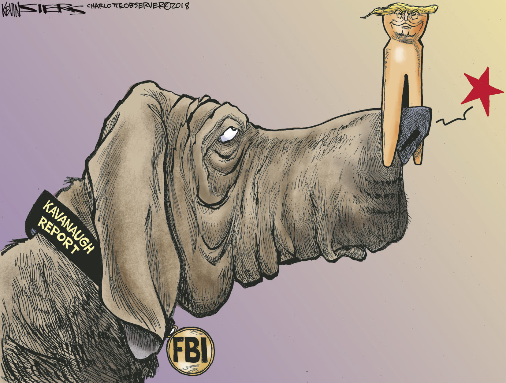 Kavanaugh confirmation cartoon